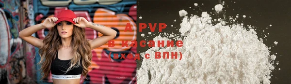шишки Беломорск
