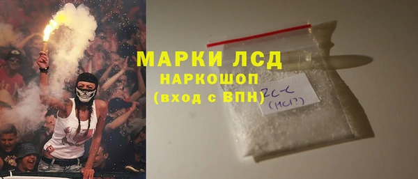 шишки Беломорск