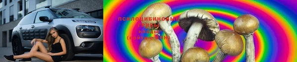 шишки Беломорск