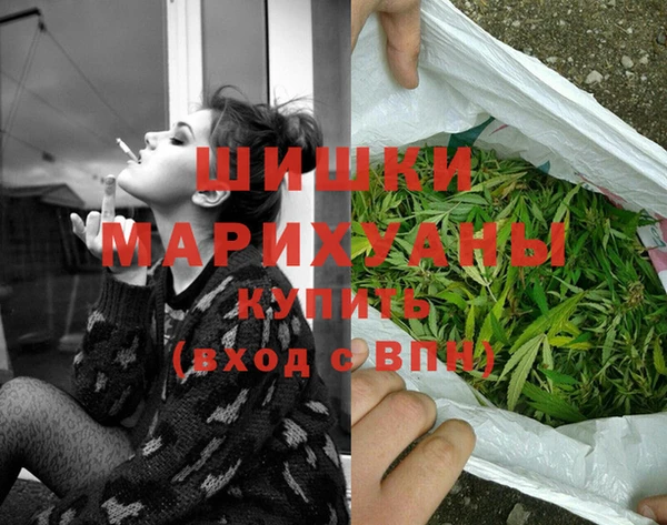 шишки Беломорск