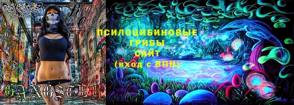 спиды Белокуриха