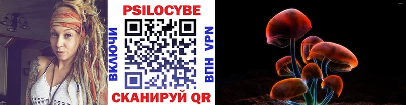 Купить  Менделеевск  Галлюциногенные грибы GOLDEN TEACHER 
